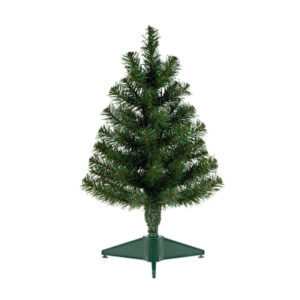 Amla Tree